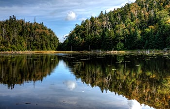 green infrastructure around a lake