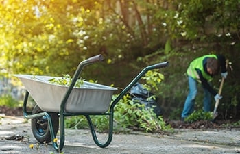 close-up of a wheel barrow with a person in the background cleaning up tree debris